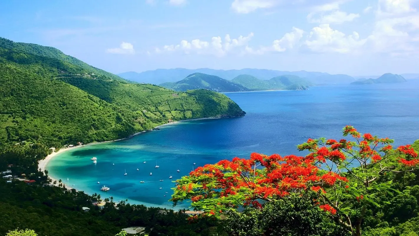 创意科技绿色